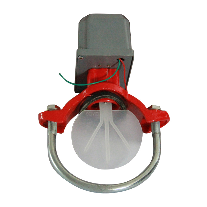 ZSJZ50-200水流指示器