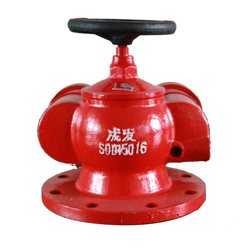 SQD150-1.6型多用式消防水泵接合器