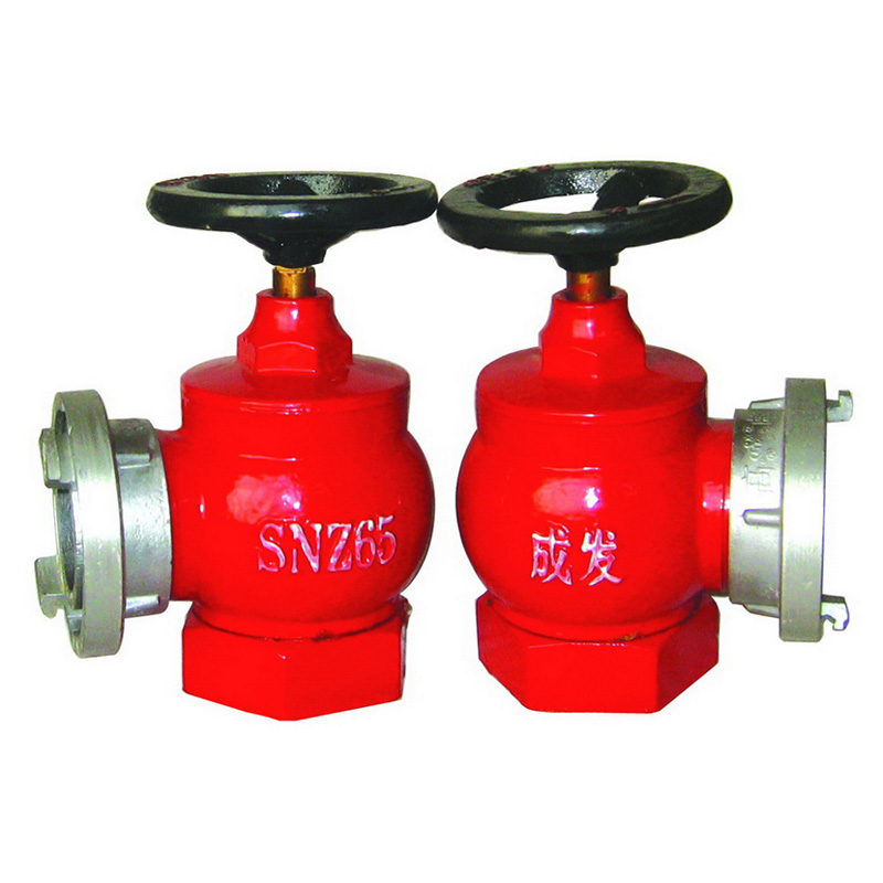 SNZ65旋轉(zhuǎn)型室內(nèi)消火栓